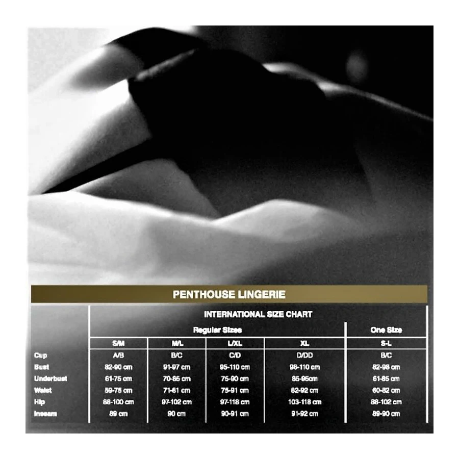 PENTHOUSE - SPICY WHISPER TEDDY XL